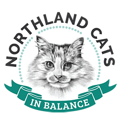 Northland Cats in Balance